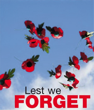 poppies